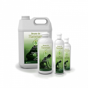 Ароматизатор для хамама Camylle Люкс смесь, 1 л - компания ИТС